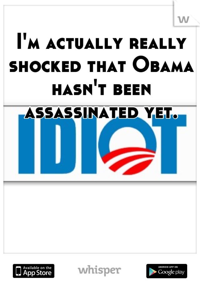 I'm actually really shocked that Obama hasn't been assassinated yet.