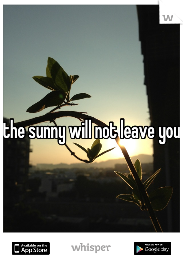 the sunny will not leave you