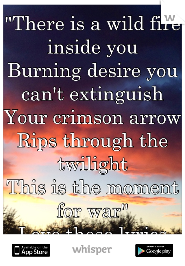 "There is a wild fire inside you
Burning desire you can't extinguish
Your crimson arrow
Rips through the twilight
This is the moment for war"
Love these lyrics