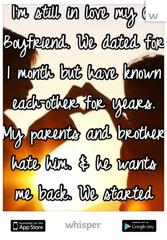 I'm still in love my ex Boyfriend. We dated for 1 month but have known each-other for years. My parents and brother hate him. & he wants me back. We started dating a year ago tomorrow. 