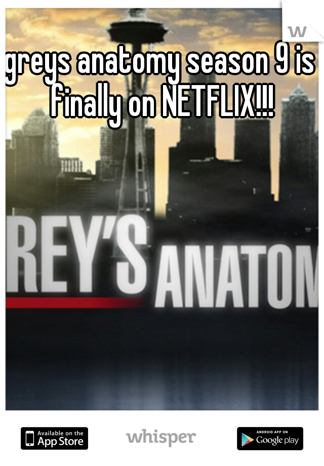 greys anatomy season 9 is finally on NETFLIX!!!