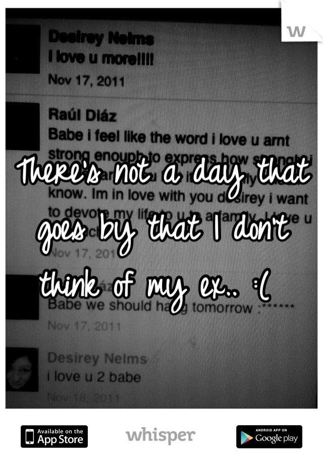 There's not a day that goes by that I don't think of my ex.. :( 