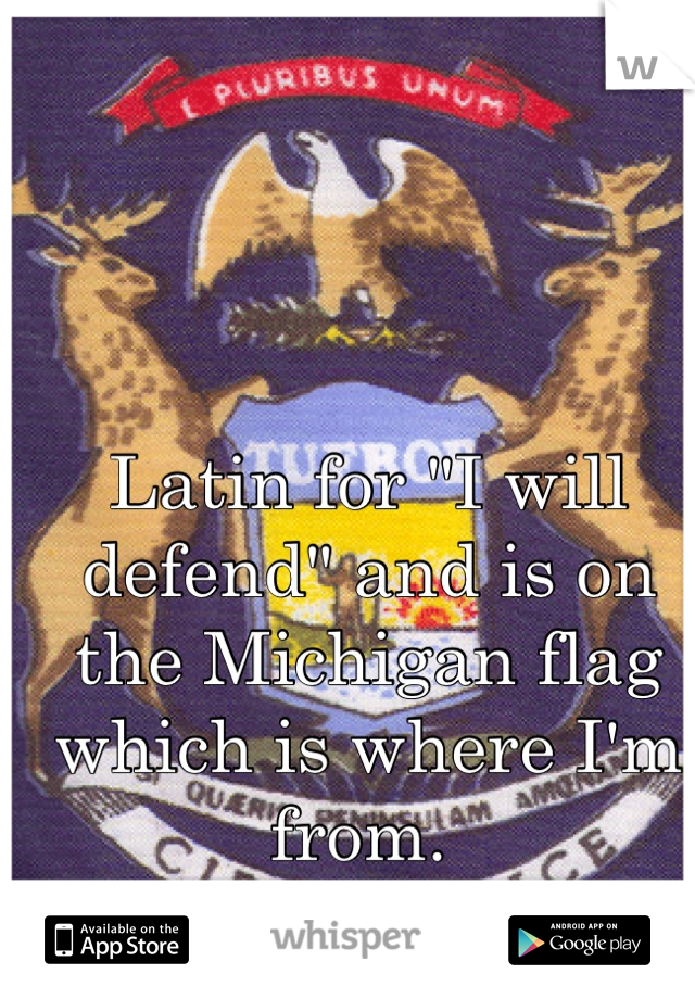 Latin for "I will defend" and is on the Michigan flag which is where I'm from. 