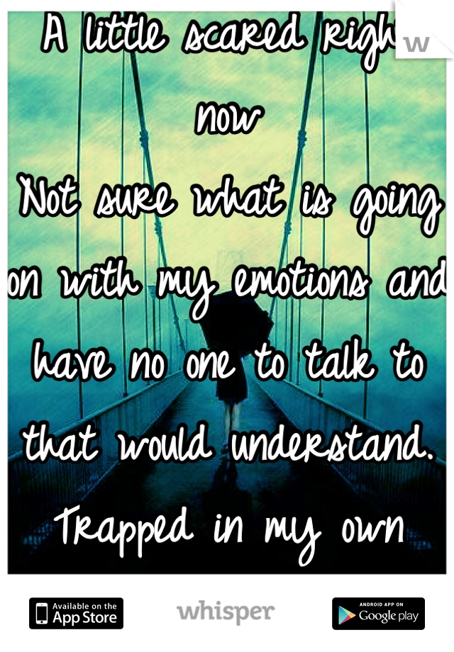 A little scared right now
Not sure what is going on with my emotions and have no one to talk to that would understand. 
Trapped in my own mind. :(