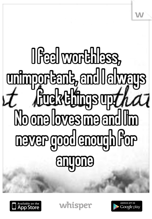 I feel worthless, unimportant, and I always fuck things up. 
No one loves me and I'm never good enough for anyone 