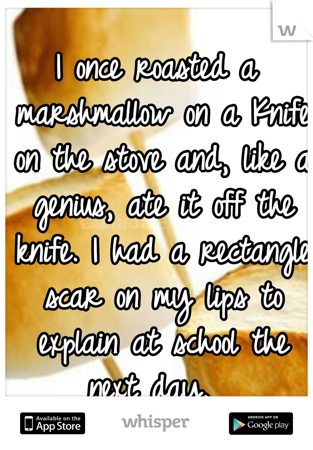 I once roasted a marshmallow on a Knife on the stove and, like a genius, ate it off the knife. I had a rectangle scar on my lips to explain at school the next day.  