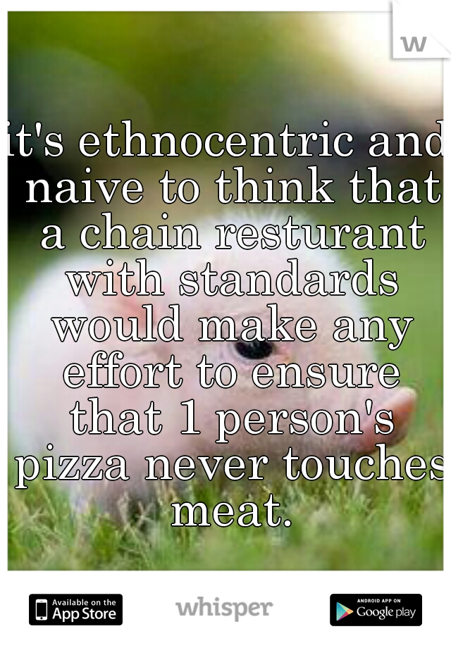 it's ethnocentric and naive to think that a chain resturant with standards would make any effort to ensure that 1 person's pizza never touches meat.