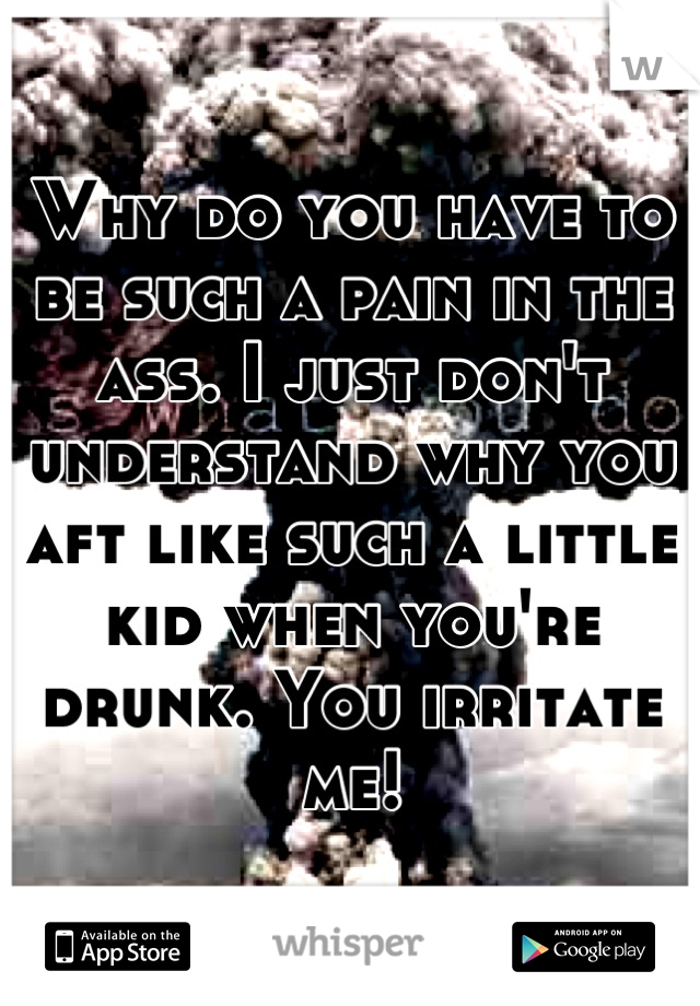 Why do you have to be such a pain in the ass. I just don't understand why you aft like such a little kid when you're drunk. You irritate me!