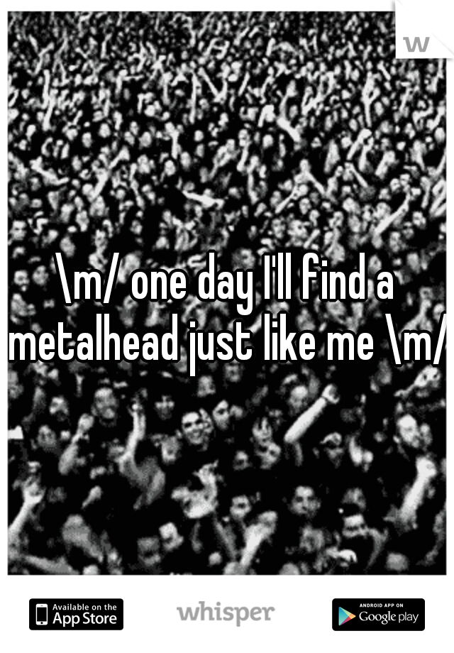 \m/ one day I'll find a metalhead just like me \m/