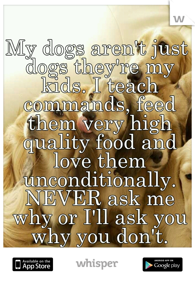 My dogs aren't just dogs they're my kids. I teach commands, feed them very high quality food and love them unconditionally. NEVER ask me why or I'll ask you why you don't.