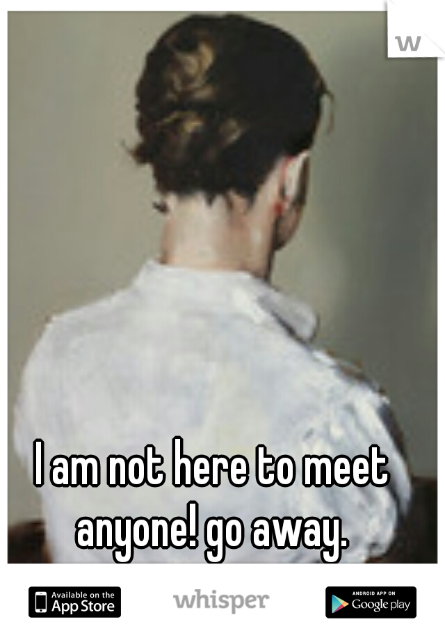 I am not here to meet anyone! go away. 