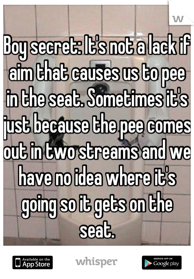 Boy secret: It's not a lack if aim that causes us to pee in the seat. Sometimes it's just because the pee comes out in two streams and we have no idea where it's going so it gets on the seat.