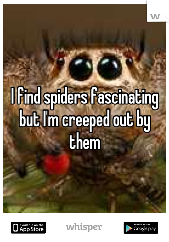 I find spiders fascinating but I'm creeped out by them