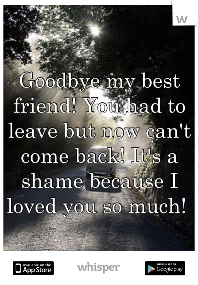 Goodbye my best friend! You had to leave but now can't come back! It's a shame because I loved you so much! 