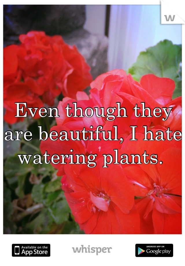 Even though they are beautiful, I hate watering plants. 