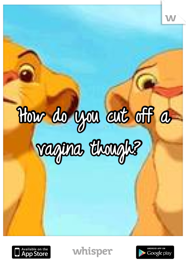 How do you cut off a vagina though? 