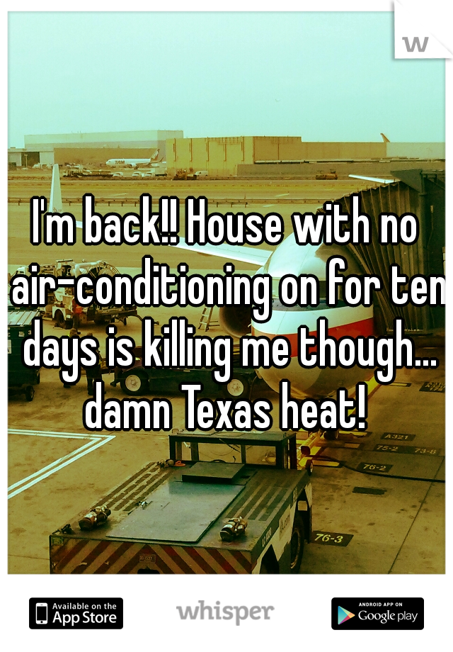 I'm back!! House with no air-conditioning on for ten days is killing me though... damn Texas heat! 