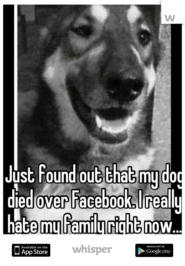 Just found out that my dog died over Facebook. I really hate my family right now...