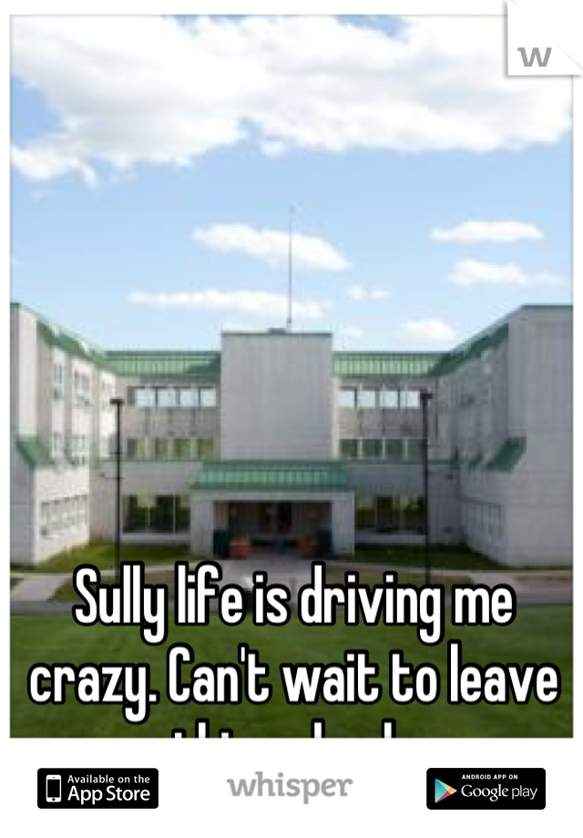 Sully life is driving me crazy. Can't wait to leave this school. 