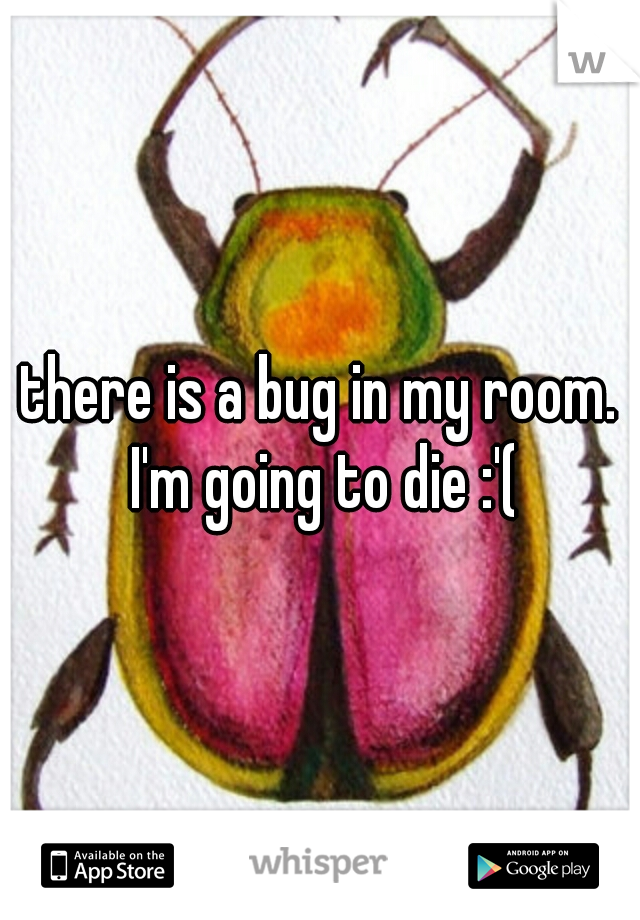 there is a bug in my room. I'm going to die :'(