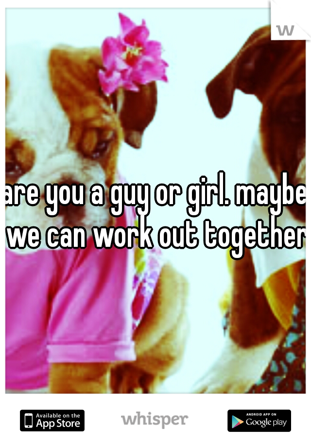 are you a guy or girl. maybe we can work out together.