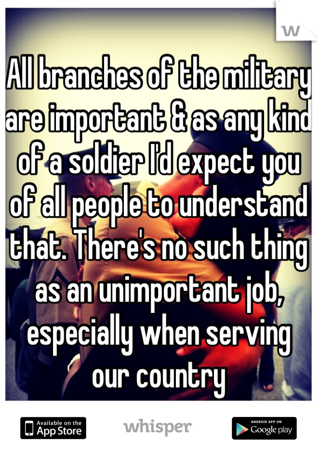 All branches of the military are important & as any kind of a soldier I'd expect you of all people to understand that. There's no such thing as an unimportant job, especially when serving our country