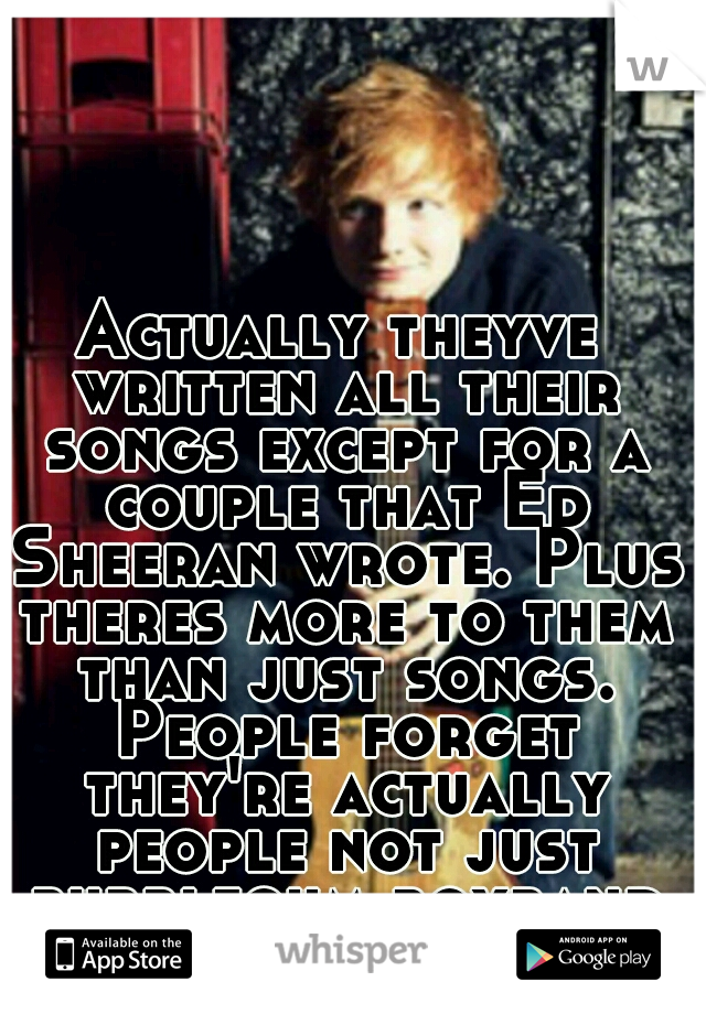 Actually theyve written all their songs except for a couple that Ed Sheeran wrote. Plus theres more to them than just songs. People forget they're actually people not just bubblegum boyband members.