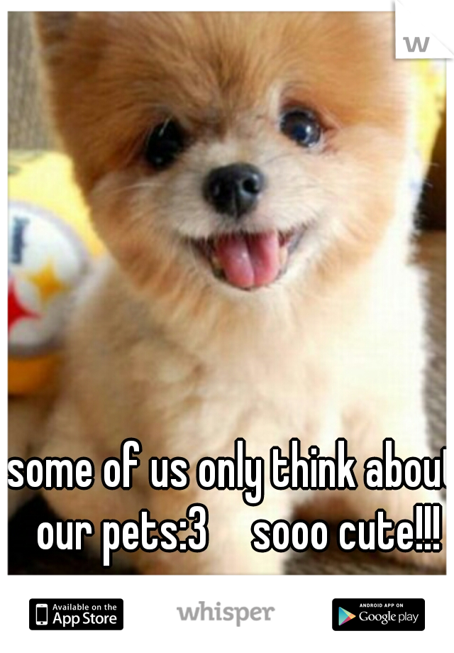 some of us only think about our pets:3

sooo cute!!!