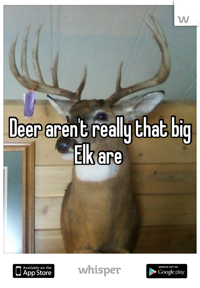 Deer aren't really that big
Elk are 