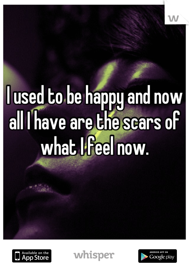 I used to be happy and now all I have are the scars of what I feel now.

