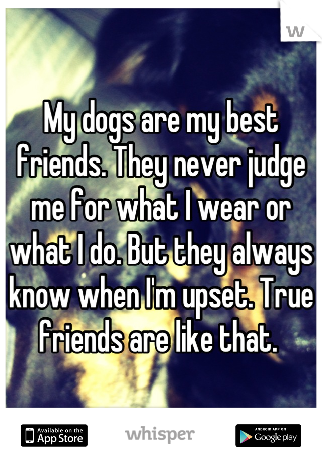My dogs are my best friends. They never judge me for what I wear or what I do. But they always know when I'm upset. True friends are like that. 