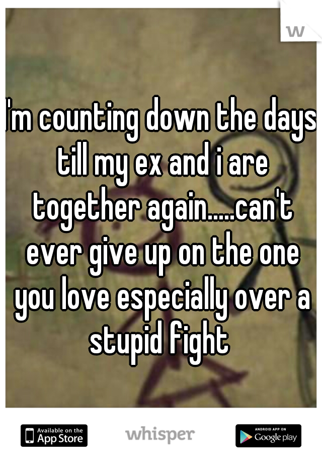 I'm counting down the days till my ex and i are together again.....can't ever give up on the one you love especially over a stupid fight 