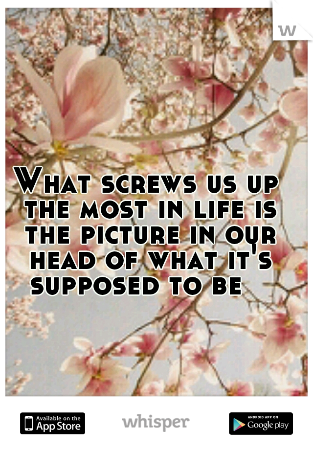 What screws us up the most in life is the picture in our head of what it's supposed to be

