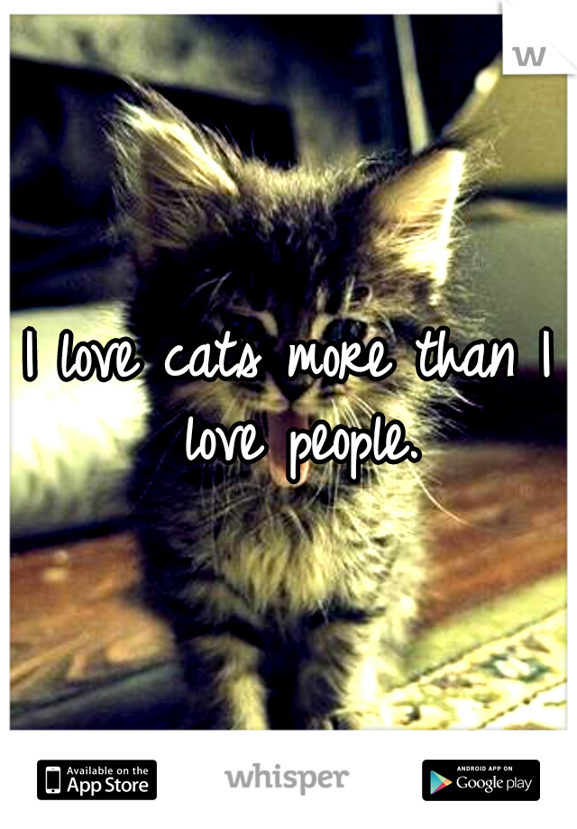 I love cats more than I love people.