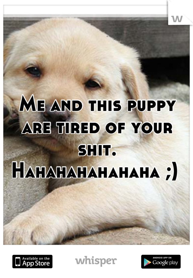 Me and this puppy are tired of your shit. Hahahahahahaha ;) 