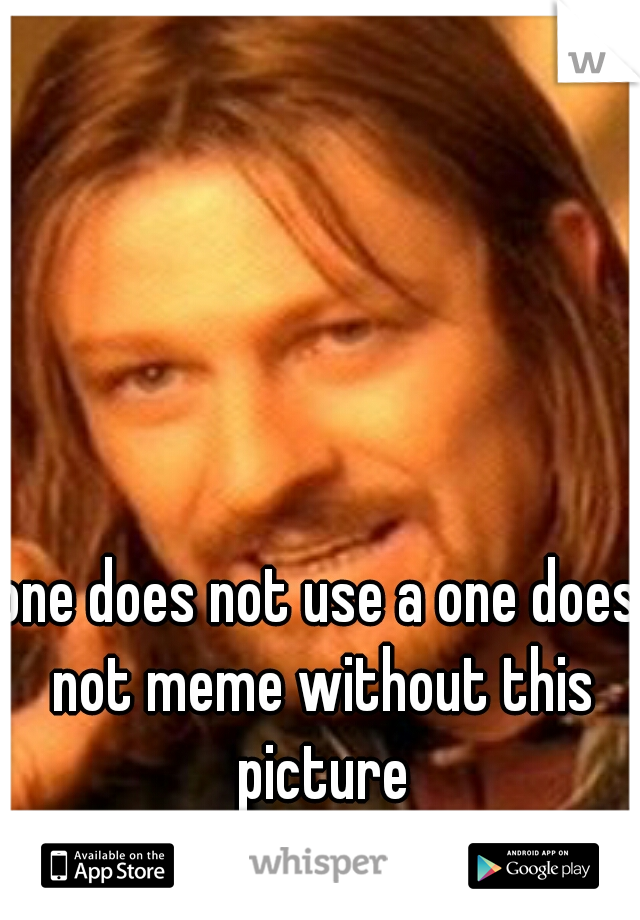 one does not use a one does not meme without this picture