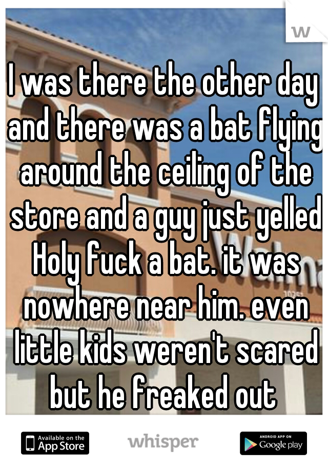 I was there the other day and there was a bat flying around the ceiling of the store and a guy just yelled Holy fuck a bat. it was nowhere near him. even little kids weren't scared but he freaked out 