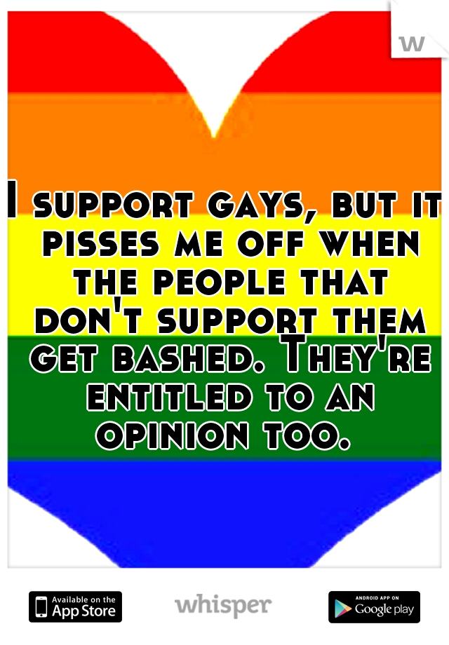I support gays, but it pisses me off when the people that don't support them get bashed. They're entitled to an opinion too. 