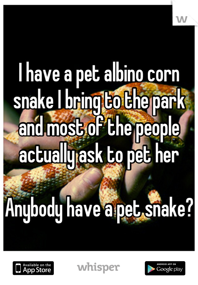 I have a pet albino corn snake I bring to the park and most of the people actually ask to pet her 

Anybody have a pet snake?