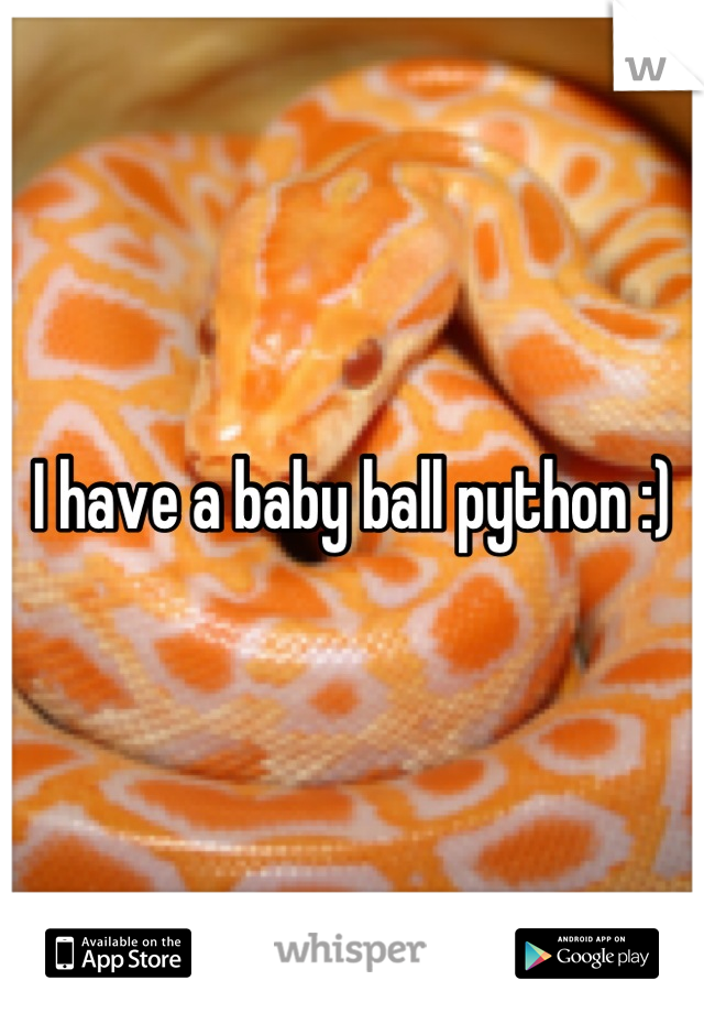 I have a baby ball python :)