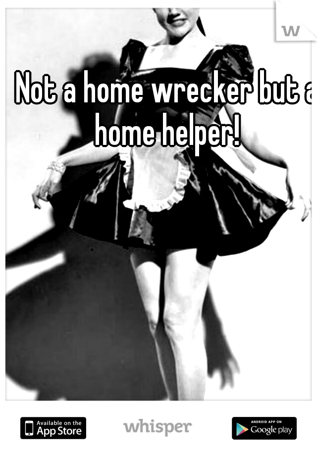 Not a home wrecker but a home helper! 