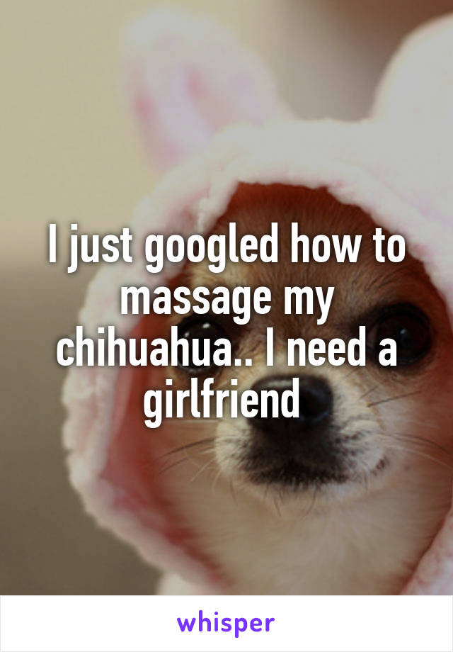 I just googled how to massage my chihuahua.. I need a girlfriend 