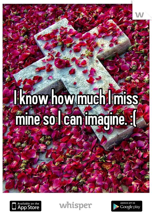I know how much I miss mine so I can imagine. :(