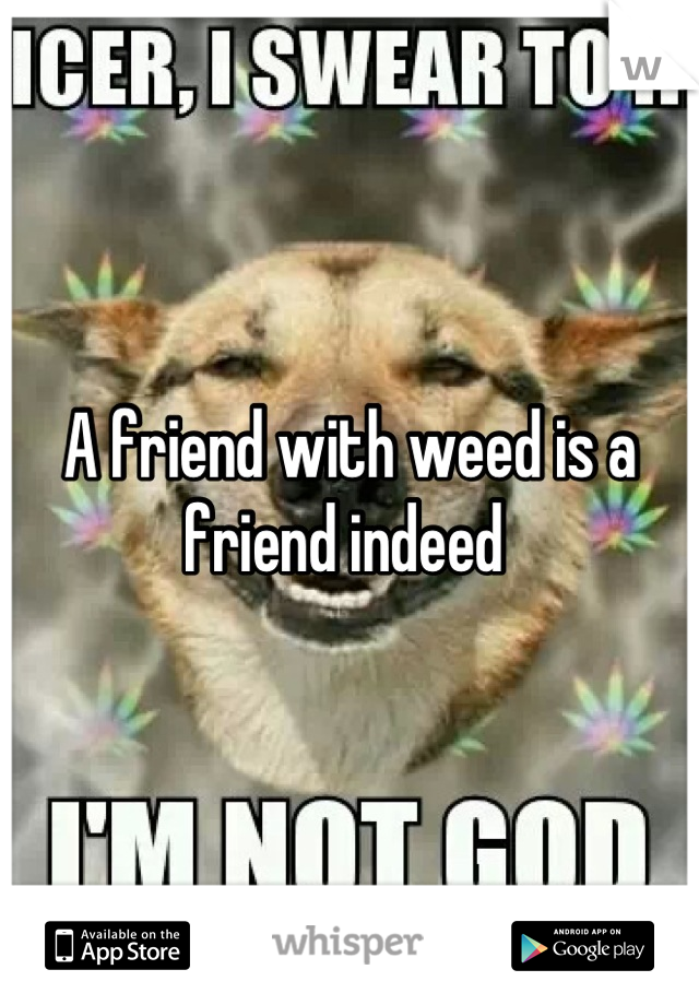 A friend with weed is a friend indeed 