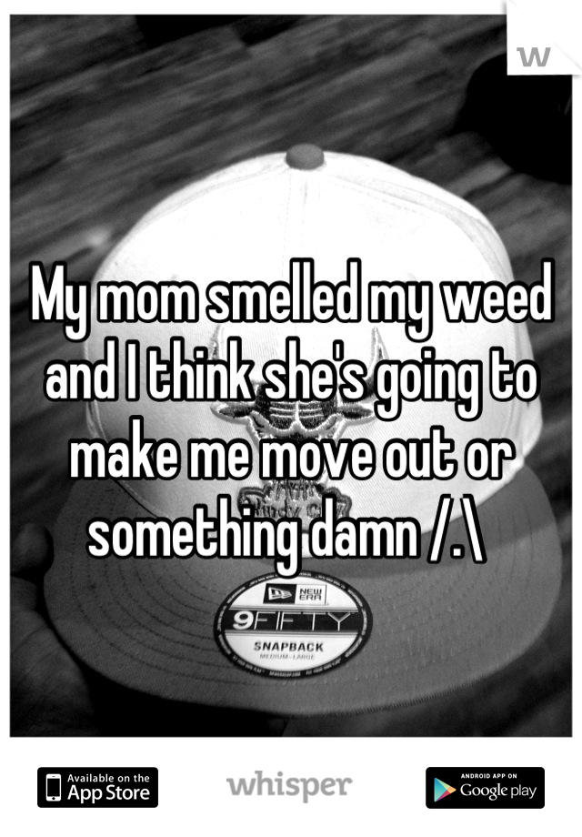 My mom smelled my weed and I think she's going to make me move out or something damn /.\ 