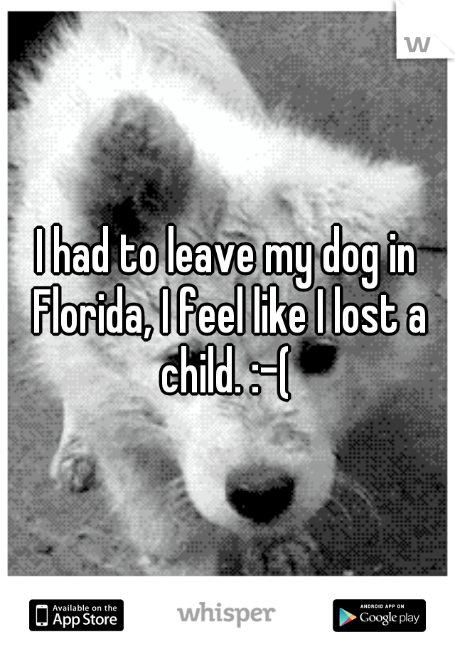 I had to leave my dog in Florida, I feel like I lost a child. :-( 