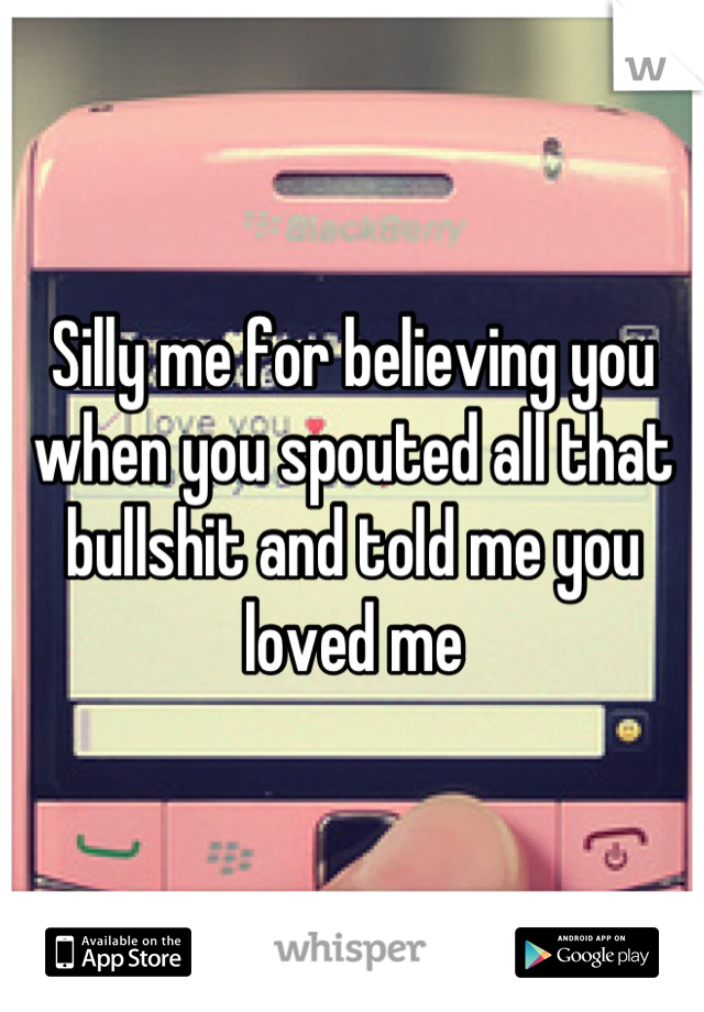 Silly me for believing you when you spouted all that bullshit and told me you loved me