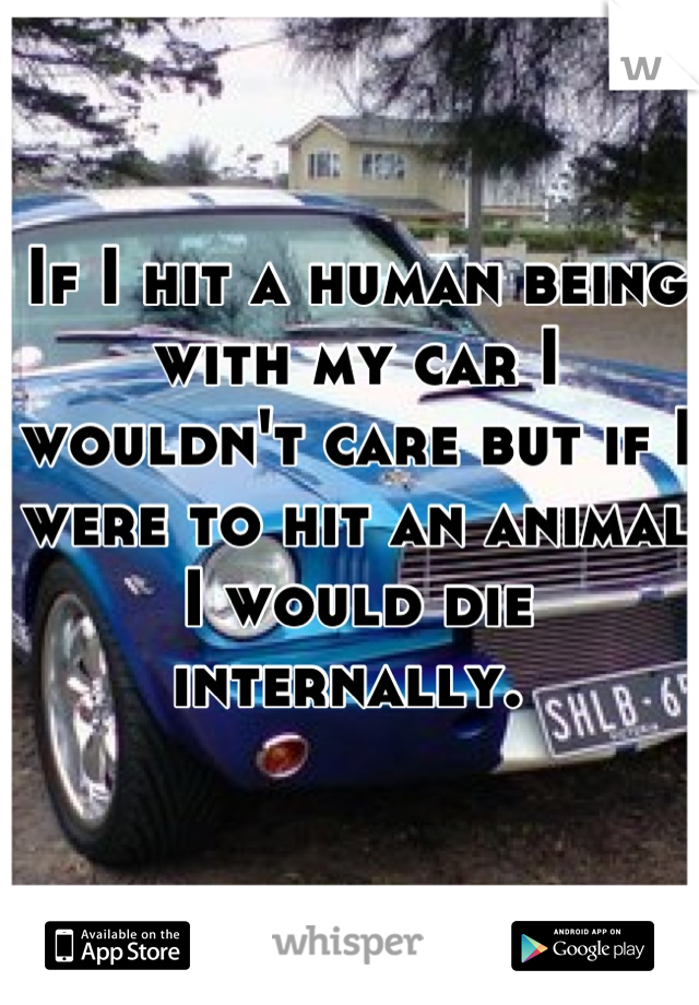 If I hit a human being with my car I wouldn't care but if I were to hit an animal I would die internally. 