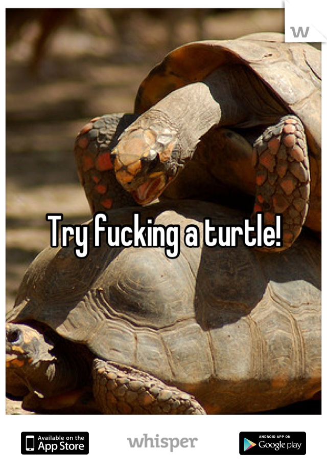 Try fucking a turtle!