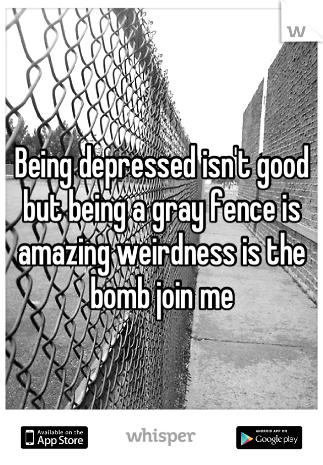 Being depressed isn't good but being a gray fence is amazing weirdness is the bomb join me